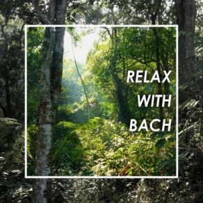 Download track J. S. Bach: Prelude And Fugue In A (Well-Tempered Clavier, Book II, No. 19), BWV 888 Johann Sebastian BachWalter Gieseking