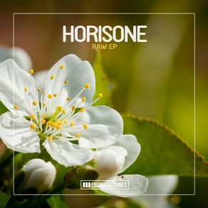 Download track Nomite (Passenger 10 Remix) Horisone