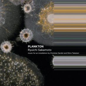 Download track Plankton (Music For An Installation By Christian Sardet And Shiro Takatani) Ryuichi Sakamoto