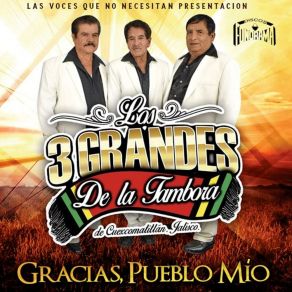Download track En Toda La Chapa Los 3 Grandes De La Tambora