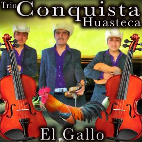 Download track El Tierno Se Fue Trio Conquista Huasteca