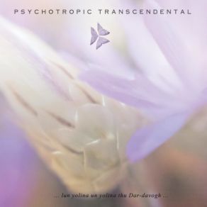 Download track Lavor Ni Termaned Psychotropic Transcendental