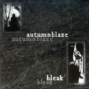Download track The Wind And The Broken Girl Autumnblaze