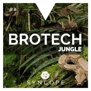 Download track Jungle (Original Mix) Brotech