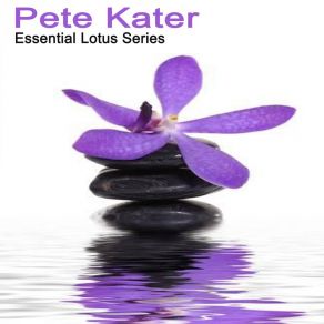 Download track Buddhist Meditation Pete Kater