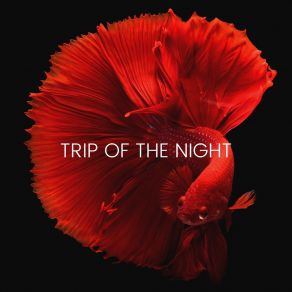 Download track I Told You So Trip Of The Night