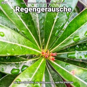 Download track Regengeräusche, Pt. 60 Regengeräusche