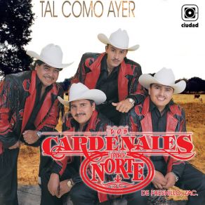 Download track Buscando Una Morena Los Cardenales Del Norte