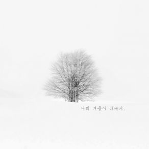 Download track Dawn Snow Yakdol Cho