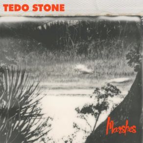 Download track Slugs Tedo Stone