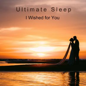 Download track Welcome Home Ultimate Sleep