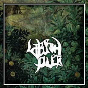 Download track ALTERATION Α Laburnum Diver