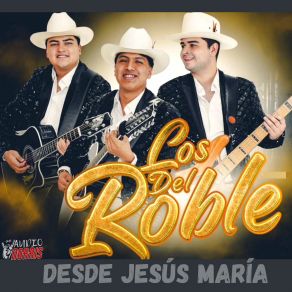 Download track Debajo De Los Laureles (En Vivo) Los Del Roble