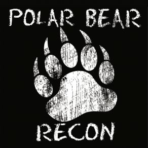 Download track Shannon's Song Polar Bear Recon