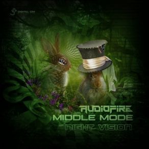 Download track Night Vision Middle Mode, Audiofire (UK)