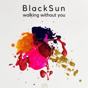 Download track Walking Without You (Radio Edit) Black Sun