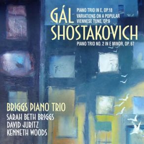 Download track Shostakovich: Piano Trio No. 2 In E Minor, Op. 67: I. Andante Briggs Trio