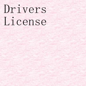 Download track Drivers License Vladivan