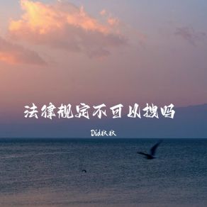 Download track 爱是最好的滤镜 Did狄狄