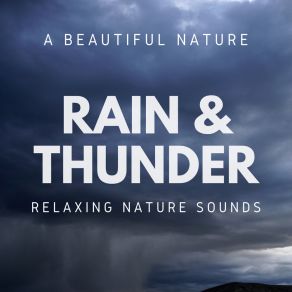 Download track Thunderstorm Soundscape A Beautiful Nature