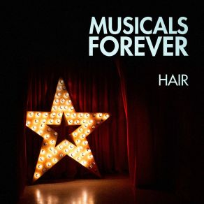 Download track Easy To Be Hard Best Songs From The Musicals