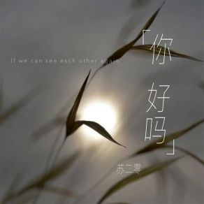 Download track 你 好吗 苏二零