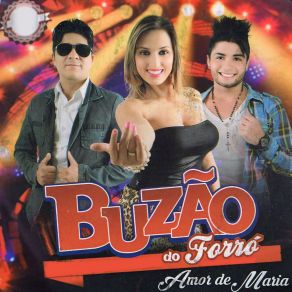 Download track De Goiânia A São Paulo Buzão Do Forró