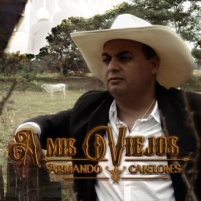 Download track Mi Bella Ilusión Armando Canelones