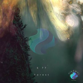 Download track Forest K 77