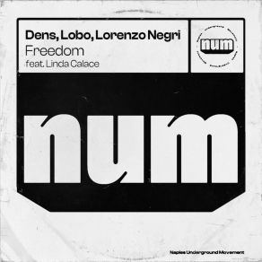 Download track Freedom (Dub Mix) Lorenzo Negri