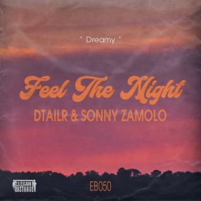 Download track Feel The Night (Extended Mix) Dtailr