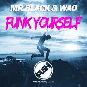 Download track Funk Yourself (Original Mix) Mr. Black, WAO