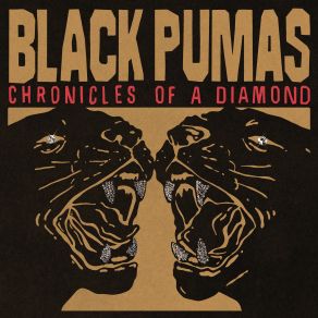 Download track Gemini Sun The Black Pumas