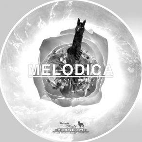 Download track Melodica (Original Mix) Dharius