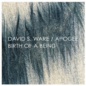 Download track A Primary Piece # 1 Apogee, David S. Ware, Marc Edwards, Cooper-Moore