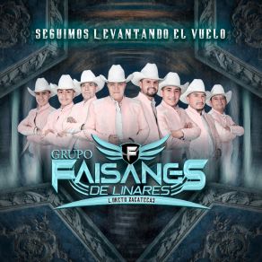Download track Mi Corazón Está Llorando (En Vivo) Grupo Faisanes De Linares Loreto