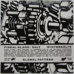 Download track Patten 14 (Live) Salt, Winterkälte, Pineal Gland