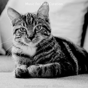 Download track Joyful (Music) Music For Cats CurationThe Music