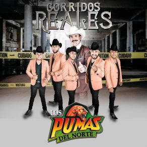 Download track Los Dos Jinetes Los Pumas Del Norte