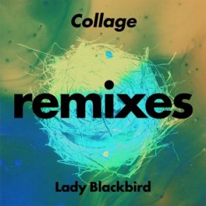 Download track Collage (Greg Foat Instrumental) Lady Blackbird