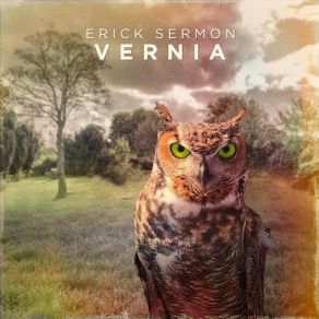 Download track Cabinet Erick Sermon