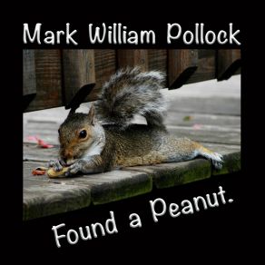 Download track The Lover's Waltz Mark William Pollock