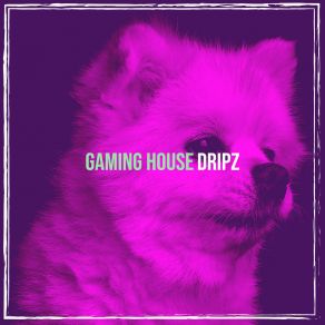 Download track Thresh Dripz