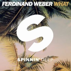 Download track What (Original Mix) Ferdinand Weber