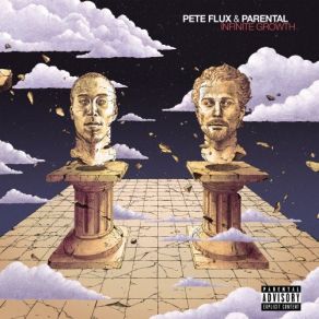 Download track What They Need Pete Flux & Parental