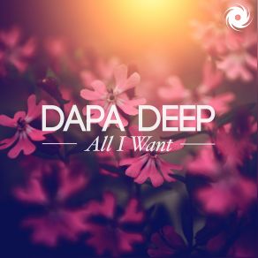 Download track All I'want Dapa Deep