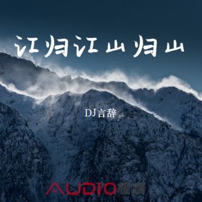 Download track 爱上一匹野马 DJ言辞