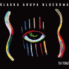 Download track Możesz Móc Śląska Grupa Bluesowa