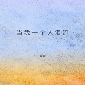 Download track 当我一个人泪流 大麦