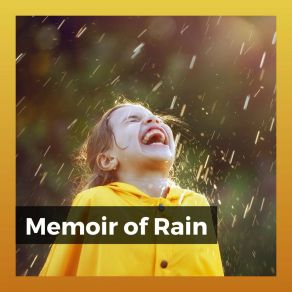 Download track Top Level Rain Rain Sounds